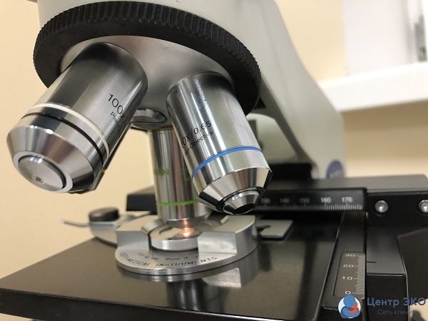 Watch Sex and the Saboka Girl онлайн