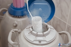 Talabalarning qinlari Alenka ismli yosh qiz, oralgan holda, suv boyida yuradi. Erotik.